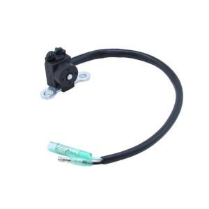 Coil pulser