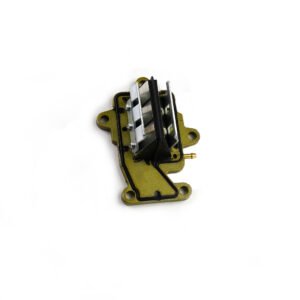 Reed valve assy