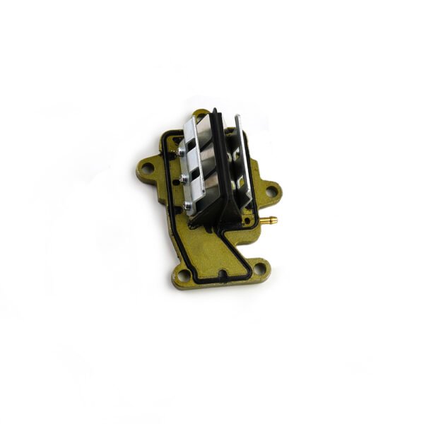 Reed valve assy