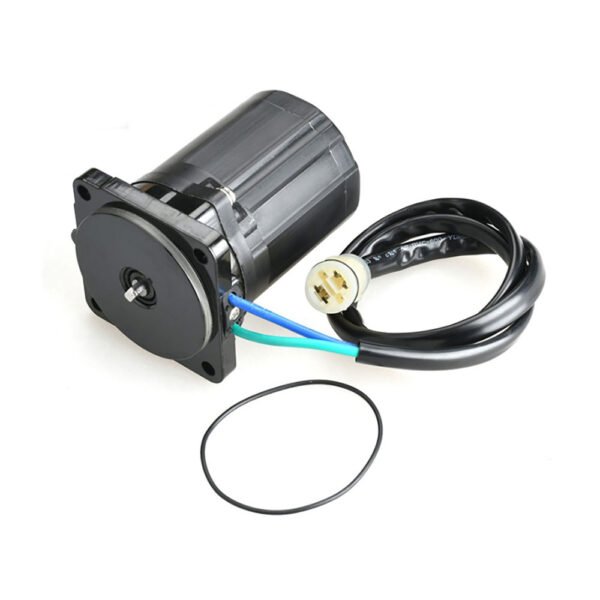 Motor assy