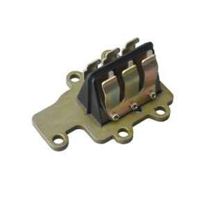 Reed valve assy