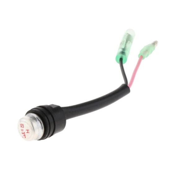 Themo switch assy