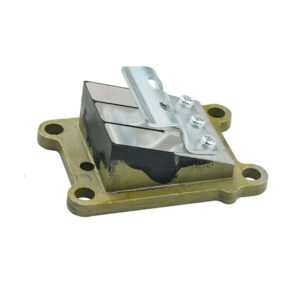 Reed valve assy