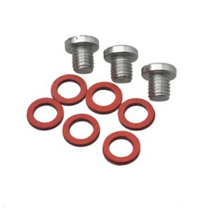 Plug straight screw
