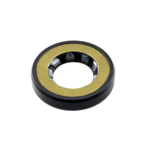 Oil seal
