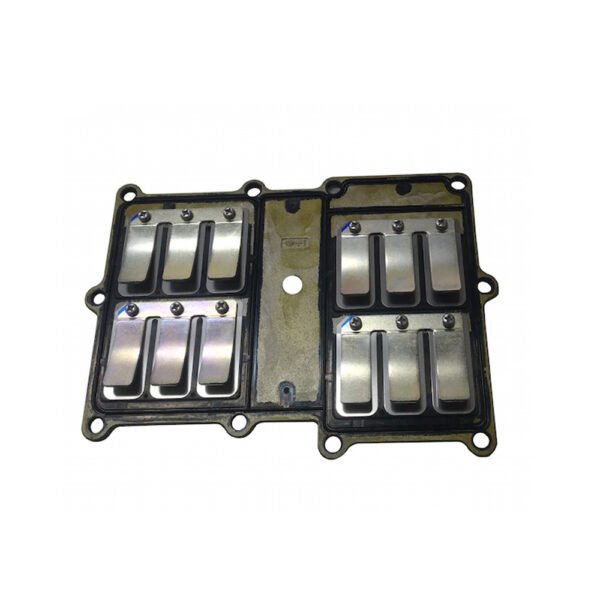Valve assy, reed