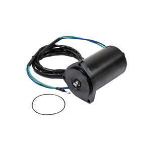 Motor assembly