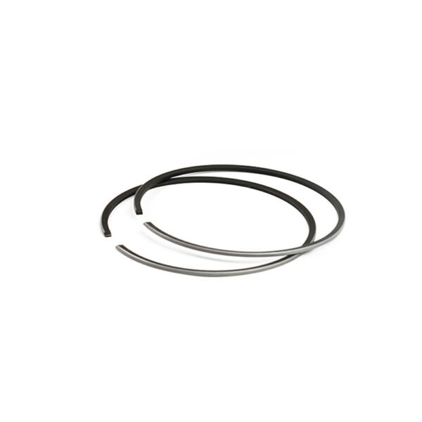 Piston ring