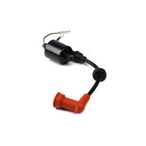 Ignition coil assy