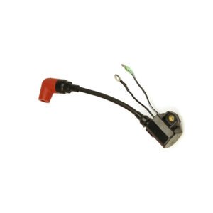 Ignition coil assy