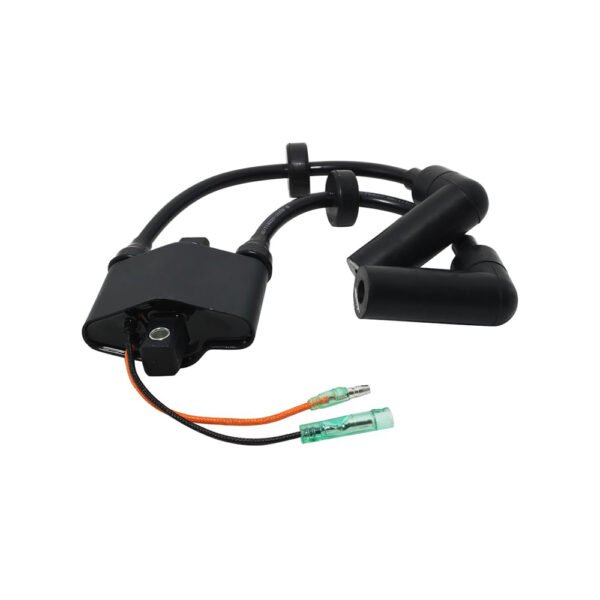 Ignition coil assy