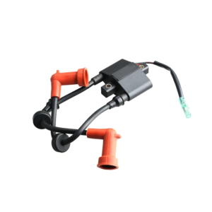 Ignition coil assy