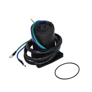 Motor assy