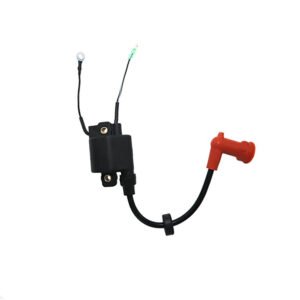 Ignition Coil assy