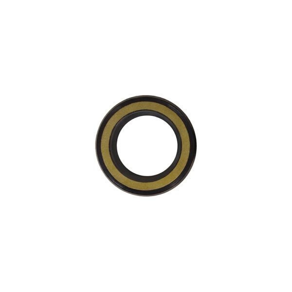 Oil seal