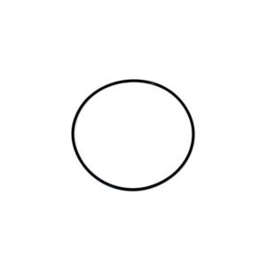 O-ring