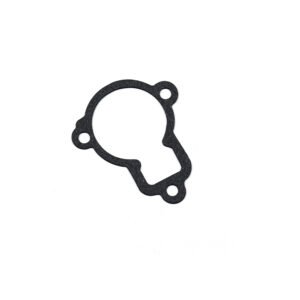 Thermostat cap, gasket